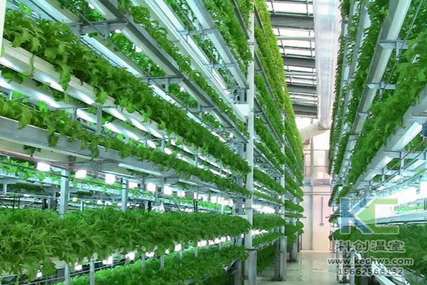 無土栽培技術，無土栽培設備，無土栽培，溫室大棚