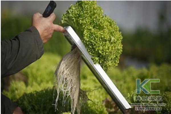 無土栽培，無土栽培技術，無土栽培設備