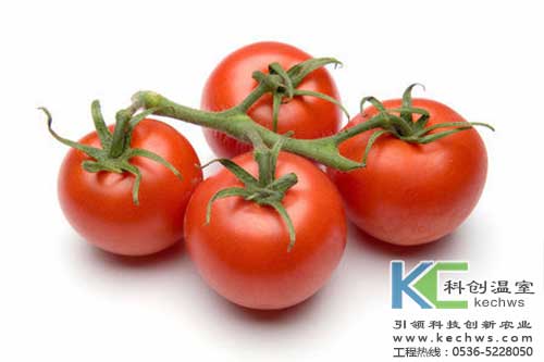 無土栽培，無土栽培技術(shù)，無土栽培設(shè)備