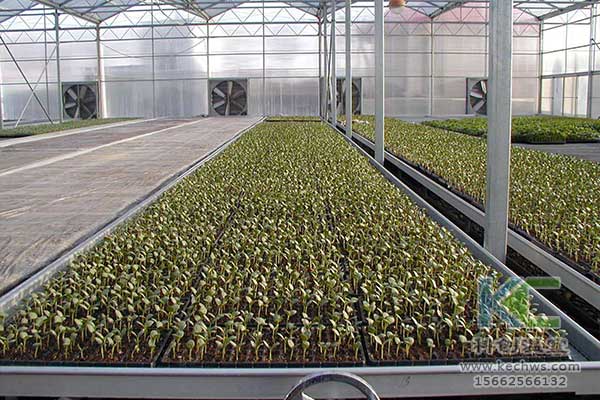 無(wú)土栽培，無(wú)土栽培技術(shù)，無(wú)土栽培設(shè)備