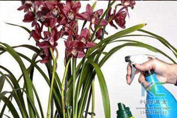 無土栽培，無土栽培技術(shù)，無土栽培設(shè)備