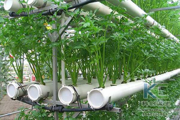 無土栽培，無土栽培技術，無土栽培設備