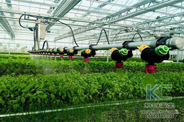 無土栽培，無土栽培技術，無土栽培設備