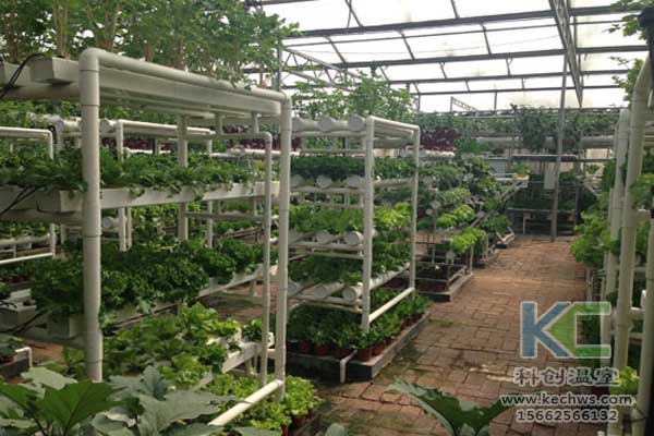 無土栽培，無土栽培技術，無土栽培設備