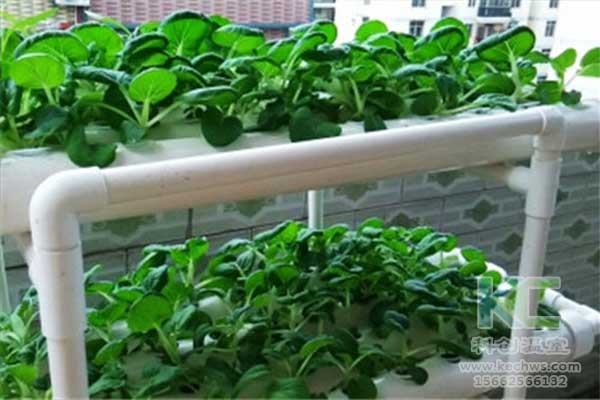 無土栽培，無土栽培技術，無土栽培設備