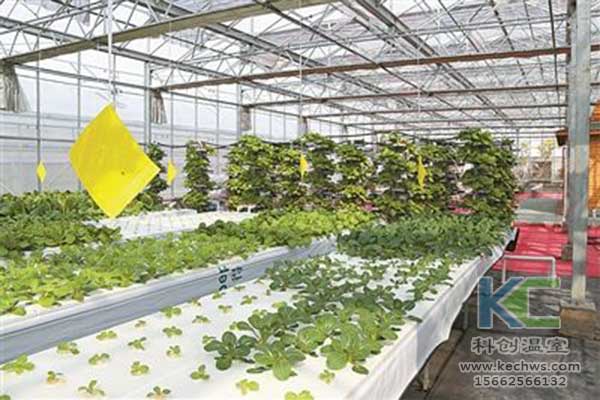 無土栽培，無土栽培技術(shù)，無土栽培設(shè)備