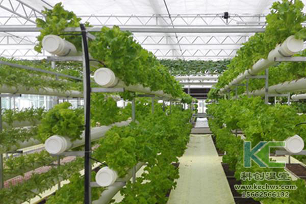 無土栽培，無土栽培技術(shù)，無土栽培設(shè)備
