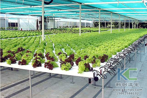 無土栽培，無土栽培技術，無土栽培設備