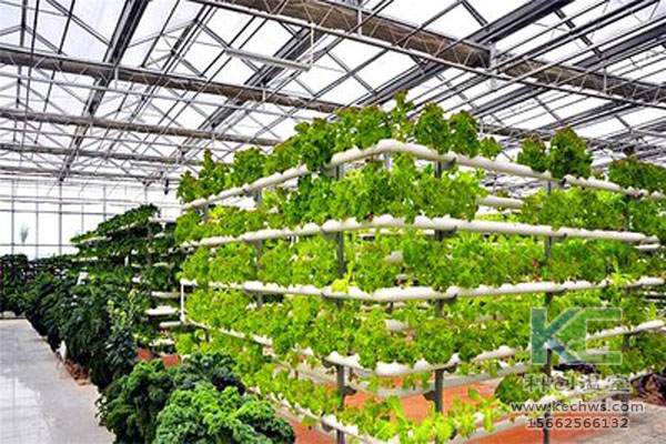 無土栽培，無土栽培技術，溫室大棚，蔬菜大棚