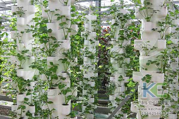無土栽培技術，無土栽培設備，無土栽培，溫室大棚