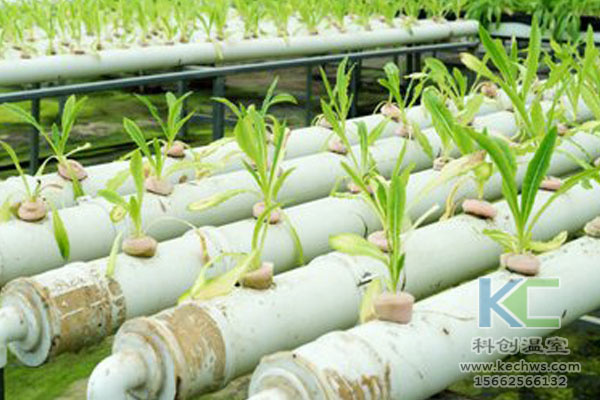 無土栽培技術，無土栽培設備，無土栽培，溫室大棚