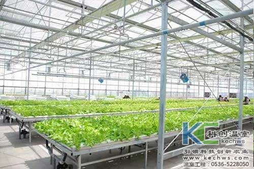 無土栽培，無土栽培技術(shù)，無土栽培設(shè)備