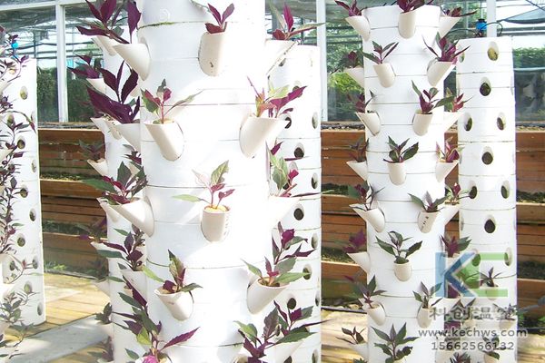 無土栽培，無土栽培技術，無土栽培設備