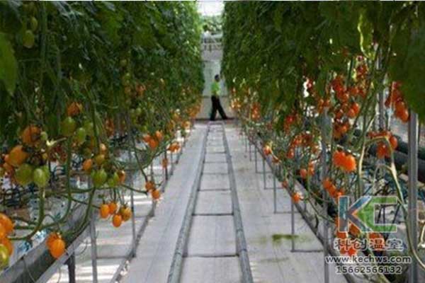 無土栽培，無土栽培技術(shù)，無土栽培設(shè)備