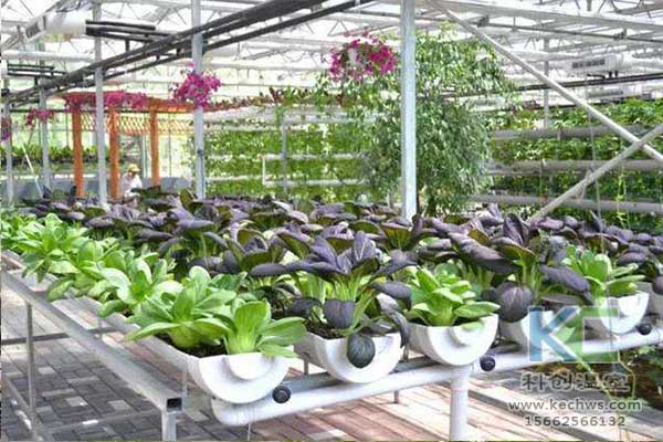 無(wú)土栽培，無(wú)土栽培技術(shù)，無(wú)土栽培設(shè)備