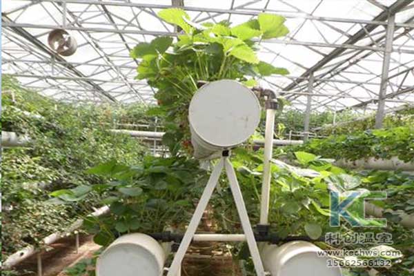 無(wú)土栽培，無(wú)土栽培技術(shù)，無(wú)土栽培設(shè)備