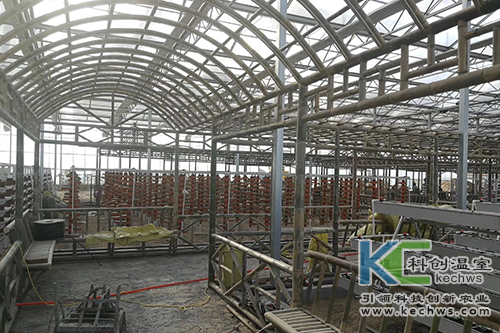 無土栽培,無土栽培技術,工程