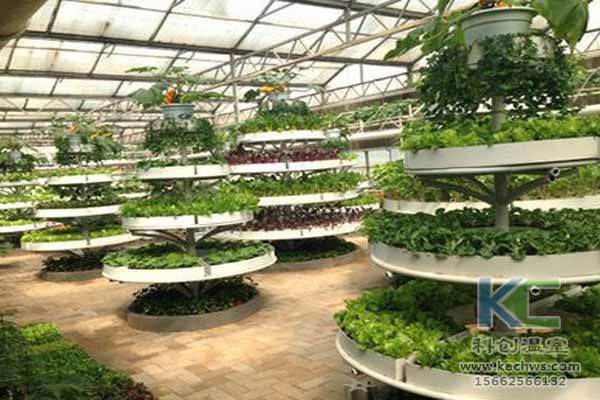 無土栽培技術，無土栽培設備，無土栽培，溫室大棚