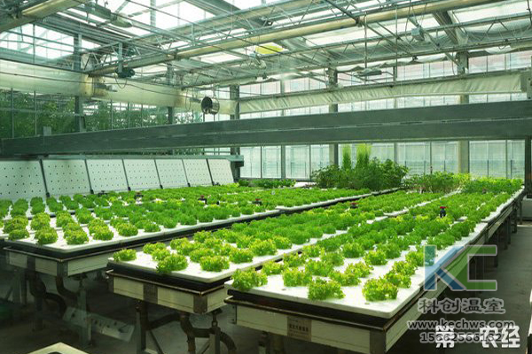 無土栽培，設(shè)備，無土栽培設(shè)備，設(shè)施