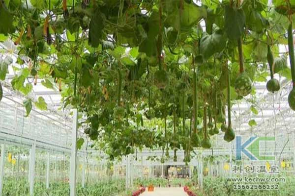 無土栽培，無土栽培技術，無土栽培設備