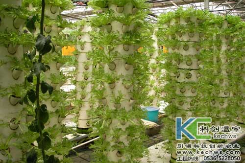 無土栽培，無土栽培技術(shù)，無土栽培設(shè)備