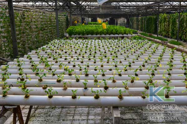 無土栽培，無土栽培技術，無土栽培設備
