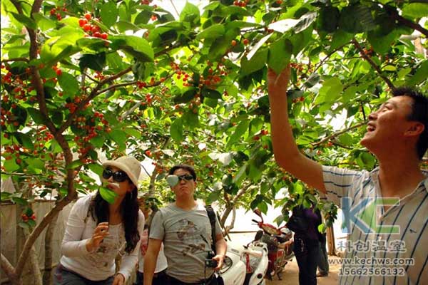 無土栽培，無土栽培技術(shù)，無土栽培設(shè)備