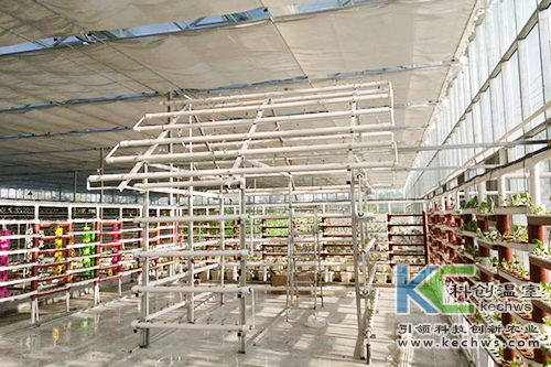 無土栽培,基質栽培,水培