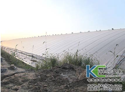 無土栽培，無土栽培技術(shù)，無土栽培設(shè)備