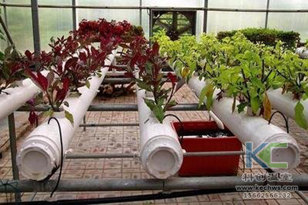 無土栽培，無土栽培技術，無土栽培設備