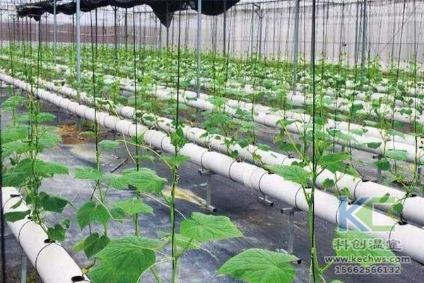 無土栽培，無土栽培技術，無土栽培設備