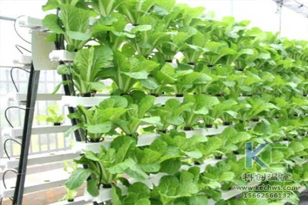 無土栽培，無土栽培技術，無土栽培設備