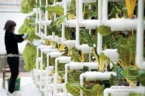 無土栽培，無土栽培技術，無土栽培設備