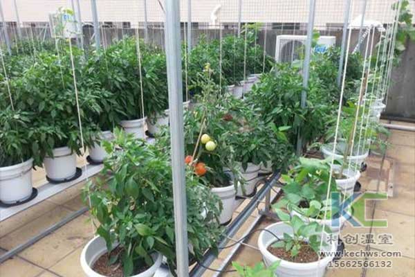 無土栽培，無土栽培技術，無土栽培設備