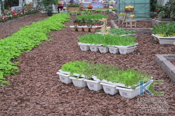 無土栽培技術(shù)，魚菜共生系統(tǒng)，無土栽培，溫室大棚