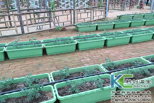 無土栽培，無土栽培技術，盆式