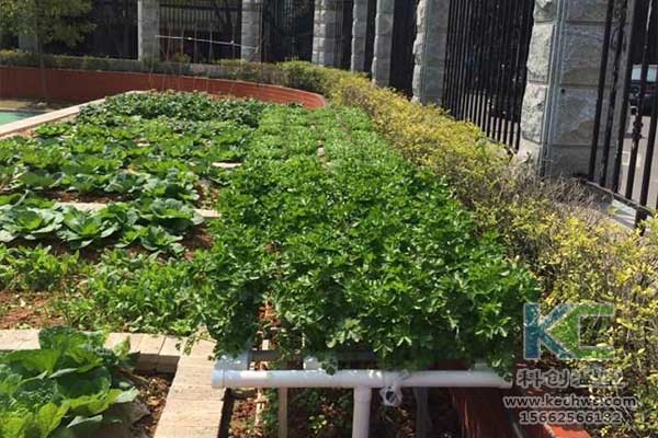 無土栽培，無土栽培技術，無土栽培設備