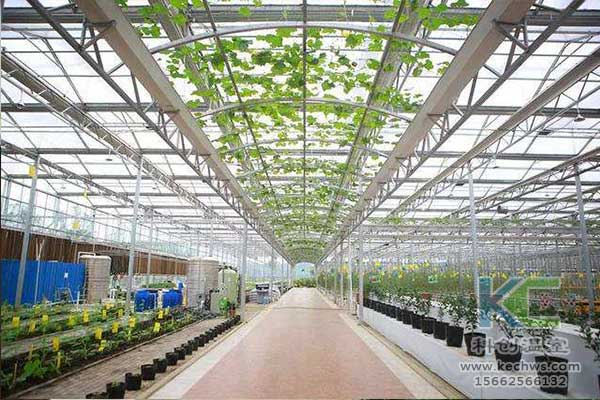 無土栽培，無土栽培技術(shù)，無土栽培設(shè)備