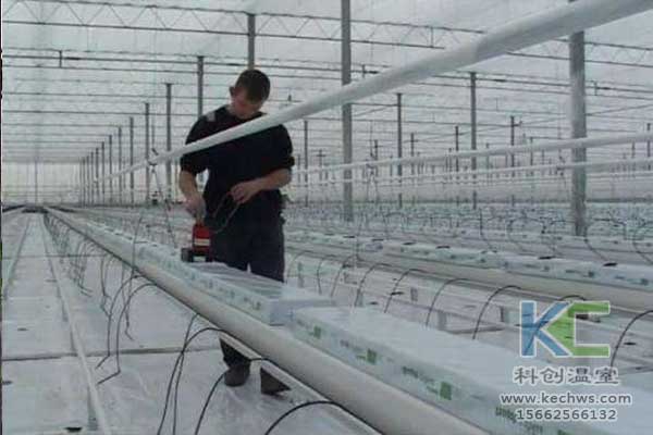 無(wú)土栽培，無(wú)土栽培技術(shù)，無(wú)土栽培設(shè)備