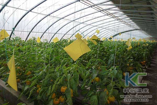 無土栽培，無土栽培技術(shù)，無土栽培設(shè)備