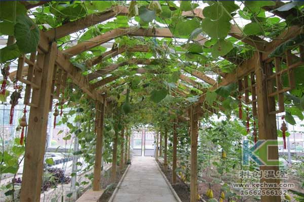 無土栽培，無土栽培技術，無土栽培設備