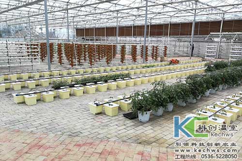 無土栽培，無土栽培技術，盆式