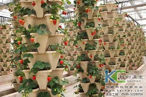 無土栽培，無土栽培技術，無土栽培設備