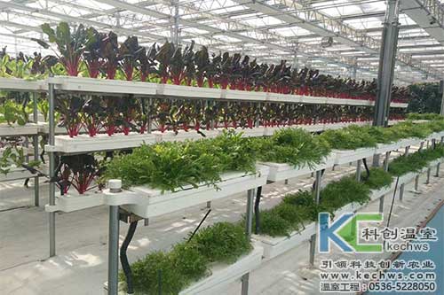 無土栽培，無土栽培技術，無土栽培設備