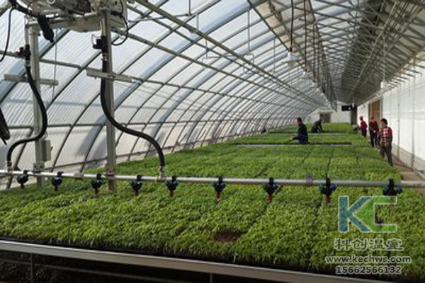 無土栽培技術，休閑農(nóng)業(yè)，無土栽培，溫室大棚