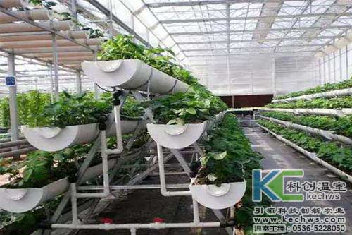 無土栽培，無土栽培技術(shù)，無土栽培設(shè)備
