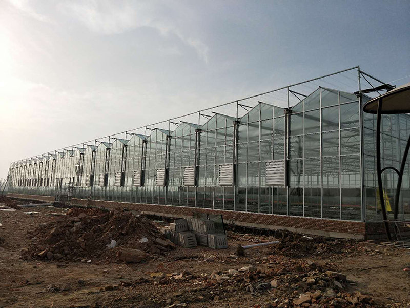 無土栽培，無土栽培技術(shù)，無土栽培設(shè)備