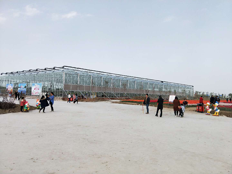 無土栽培，無土栽培技術(shù)，無土栽培設(shè)備