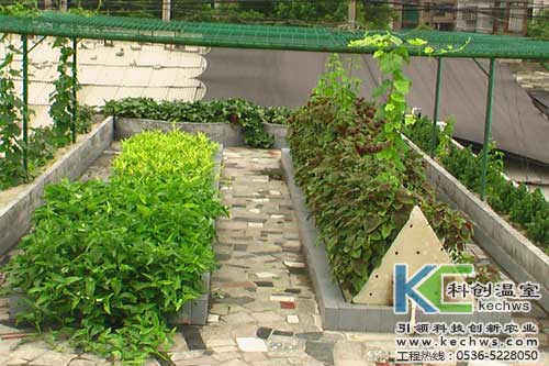 無(wú)土栽培，無(wú)土栽培技術(shù)，無(wú)土栽培設(shè)備