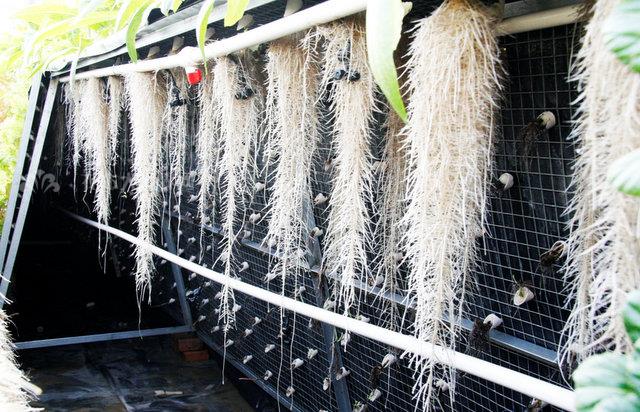 無土栽培，無土栽培技術，無土栽培設備